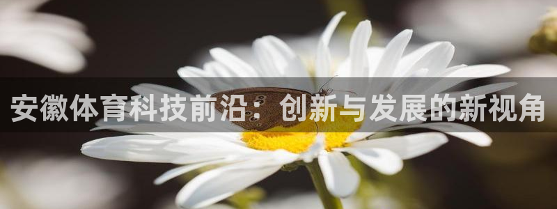 安徽体育科技前沿：创新与发展的新视角