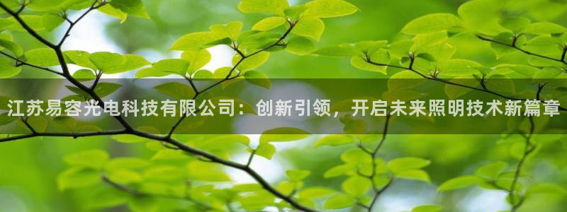 江苏易容光电科技有限公司：创新引领，开启未来照明技术新篇章