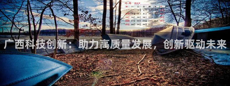 广西科技创新：助力高质量发展，创新驱动未来