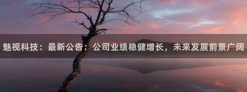 魅视科技：最新公告：公司业绩稳健增长，未来发展前景广阔
