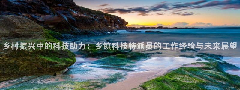 乡村振兴中的科技助力：乡镇科技特派员的工作经验与未来展望