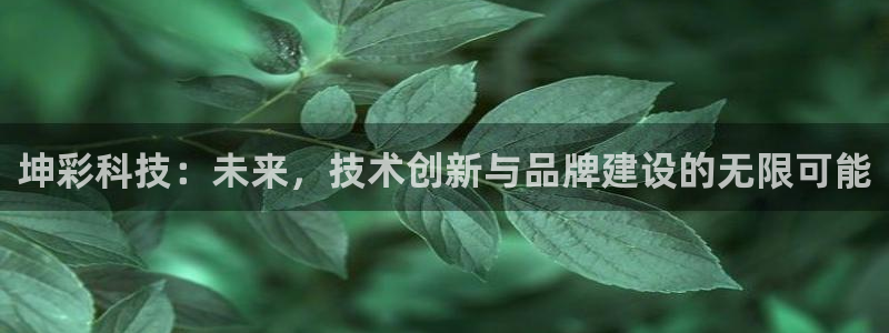 坤彩科技：未来，技术创新与品牌建设的无限可能