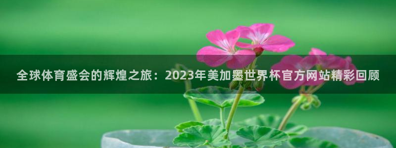 全球体育盛会的辉煌之旅：2023年美加墨世界杯官方网站精彩回顾