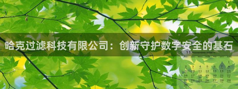哈克过滤科技有限公司：创新守护数字安全的基石