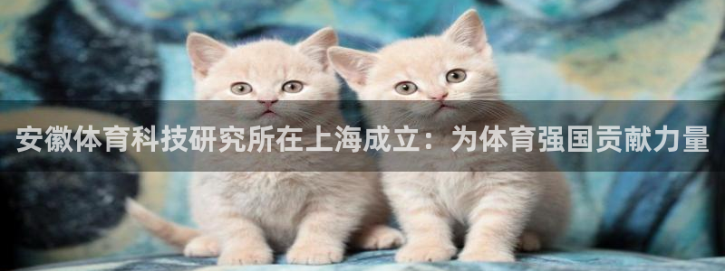 安徽体育科技研究所在上海成立：为体育强国贡献力量